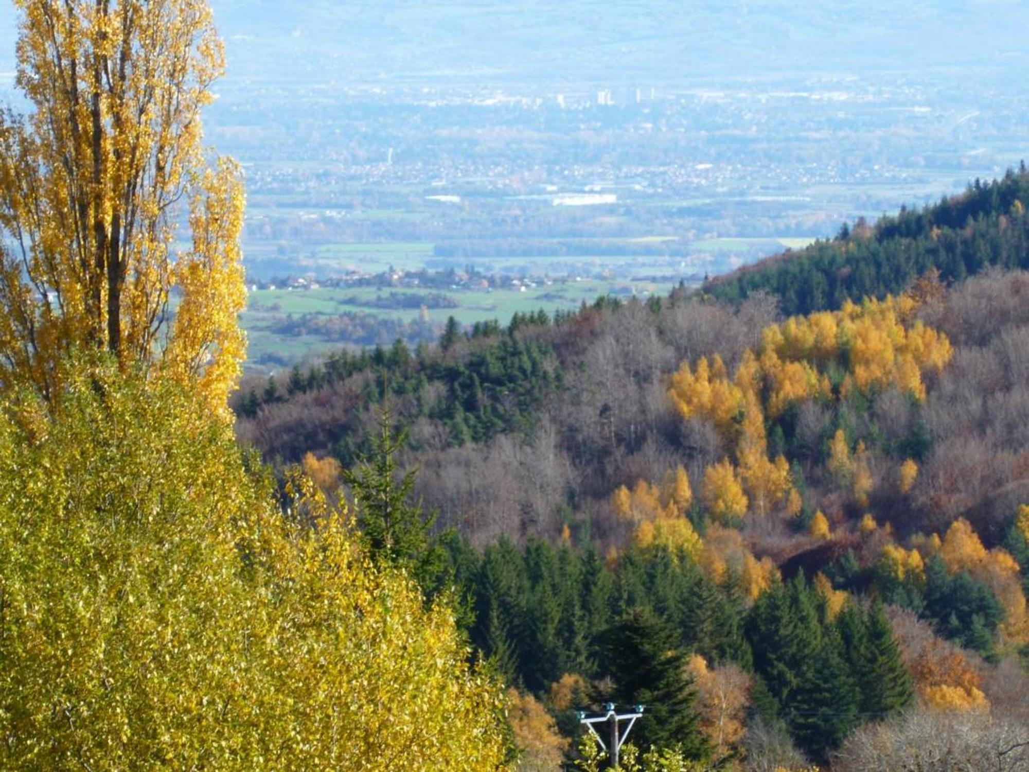Charmant Gite Avec Terrasse, Cheminee Et Jardin, A Proximite Des Bois, Animaux Acceptes - Fr-1-496-205 Saint-Jean-Soleymieux Экстерьер фото