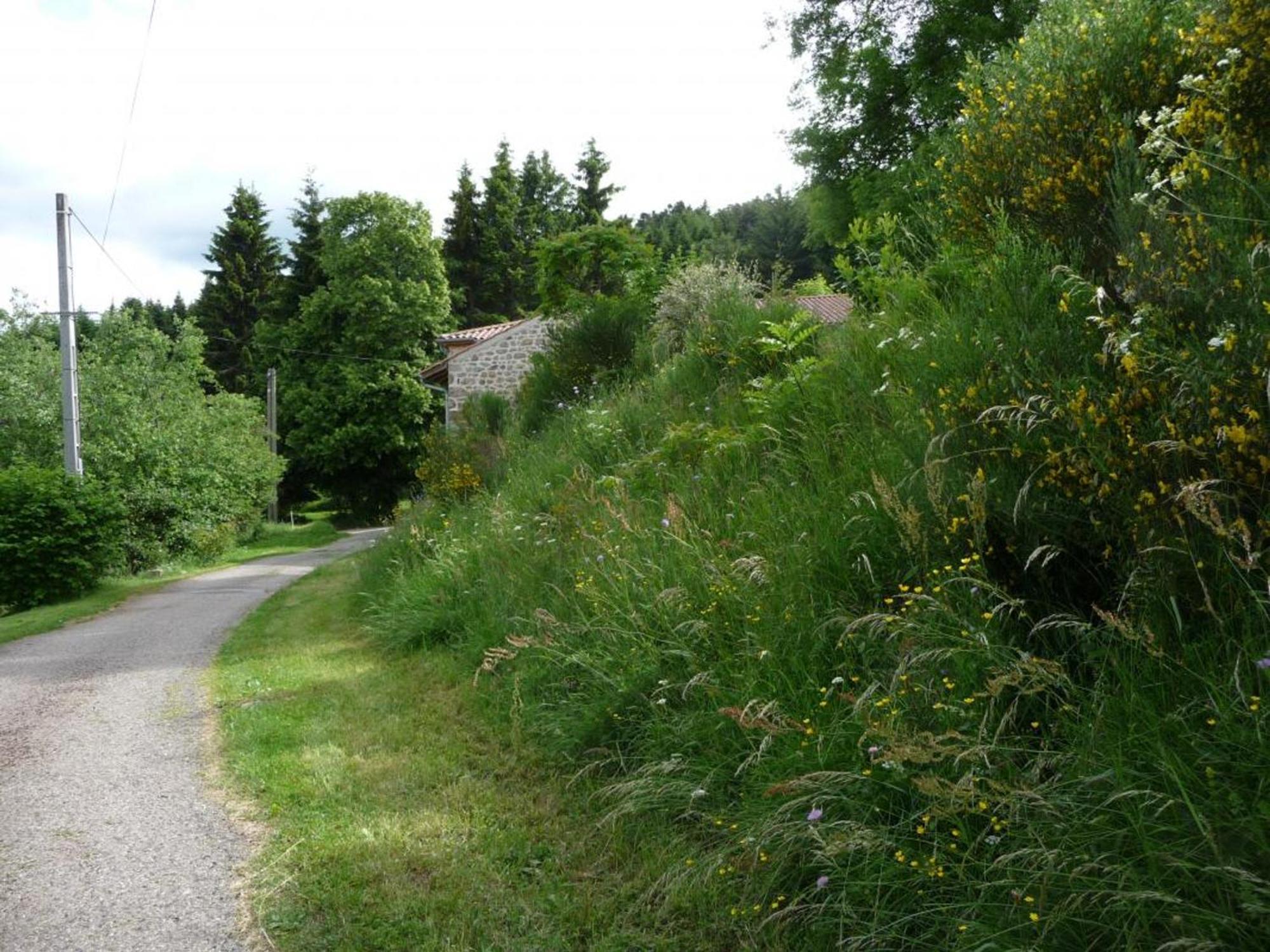 Charmant Gite Avec Terrasse, Cheminee Et Jardin, A Proximite Des Bois, Animaux Acceptes - Fr-1-496-205 Saint-Jean-Soleymieux Экстерьер фото